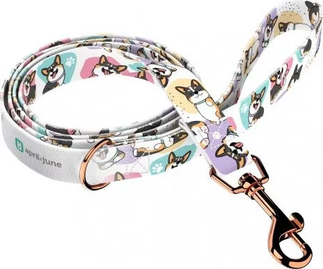 April&June Pembroke Welsh Corgi trikolor trikolor póráz