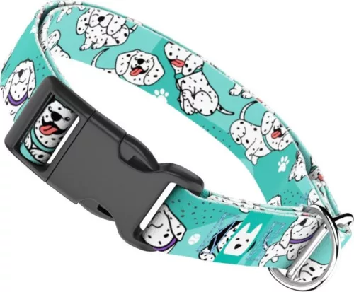 April&June Dalmata kék nyakörv