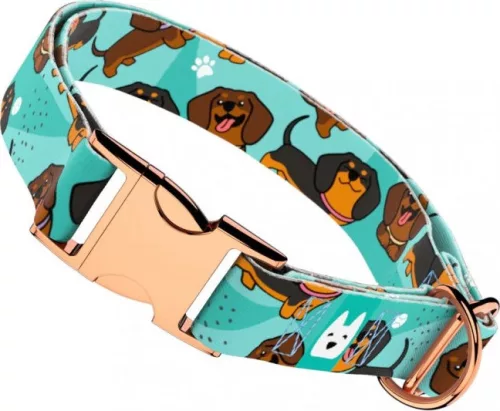 April&June Tacskó kék nyakörv 