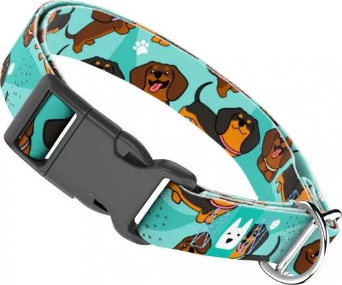 April&June Tacskó kék nyakörv 