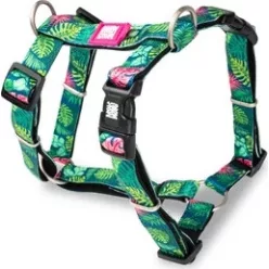 Max & Molly H-hám - Tropical - XS