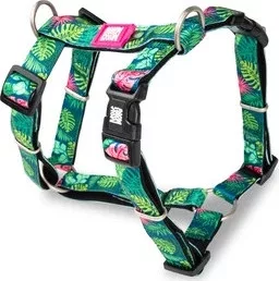 Max & Molly H-hám - Tropical - S