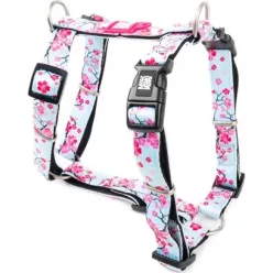 Max & Molly H-hám - Cherry Bloom - S