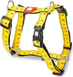 Max & Molly H-hám - Ruler - M