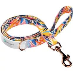 April&June Színes Nyári Este kék póráz