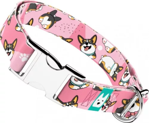 April&June Pembroke Welsh Corgi trikolor rózsaszín nyakörv