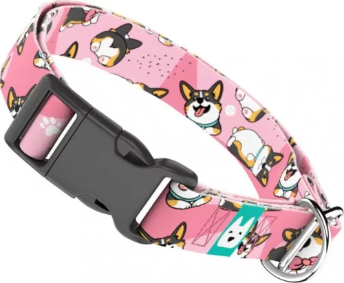 April&June Pembroke Welsh Corgi trikolor rózsaszín nyakörv