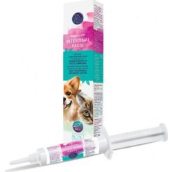 OrganoVet Intestinal paste 60 ml OrganoVet Intestinal paste 60 ml