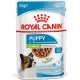 Royal Canin X-Small Puppy 48x85 g