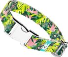 April&June Monstera Levelek rózsaszín nyakörv