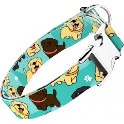 April&June Labrador Retriever kék nyakörv