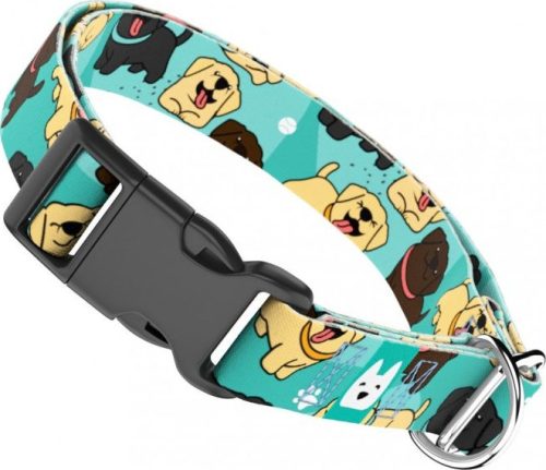 April&June Labrador Retriever kék nyakörv