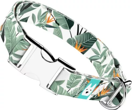 April&June papagájvirág mintás nyakörv