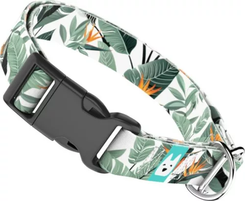 April&June papagájvirág mintás nyakörv