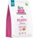 Brit Care Dog Grain-free Salmon Puppy 3 kg