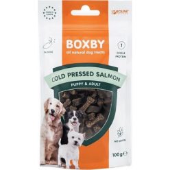 Boxby Cold Pressed Salmon 100 g