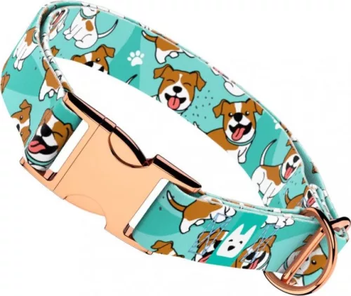 April&June Jack Russel Terrier kék nyakörv