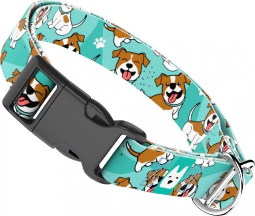 April&June Jack Russel Terrier kék nyakörv