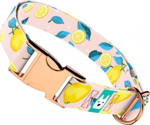 April&June Nyári Citromok nyakörv