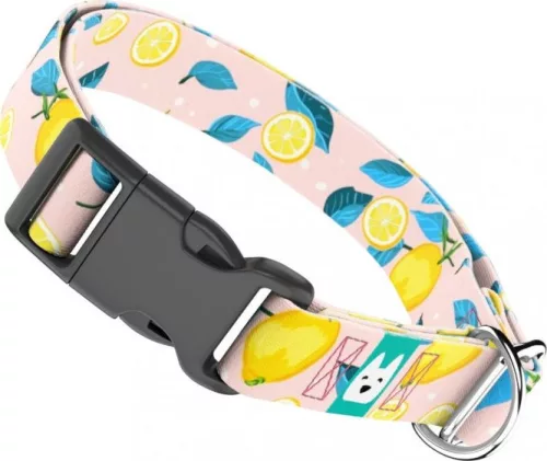 April&June Nyári Citromok nyakörv