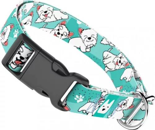 April&June Westie kék nyakörv