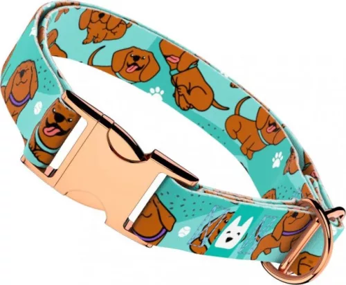 April&June Vizsla kék nyakörv