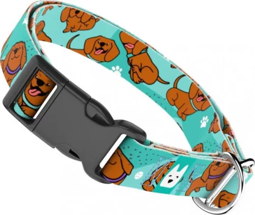 April&June Vizsla kék nyakörv