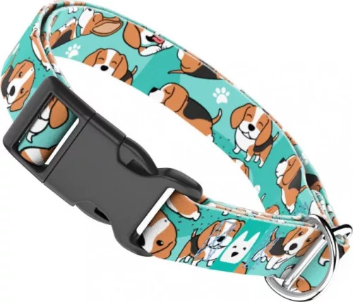 April&June Beagle kék nyakörv