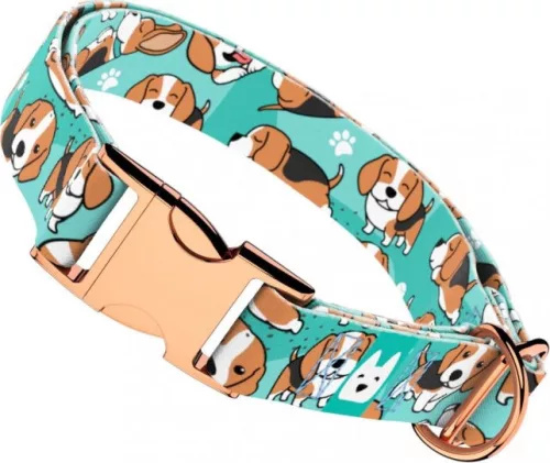 April&June Beagle kék nyakörv