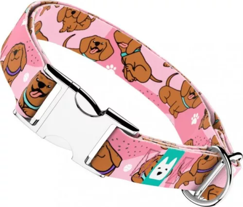 April&June Vizsla rózsaszín nyakörv