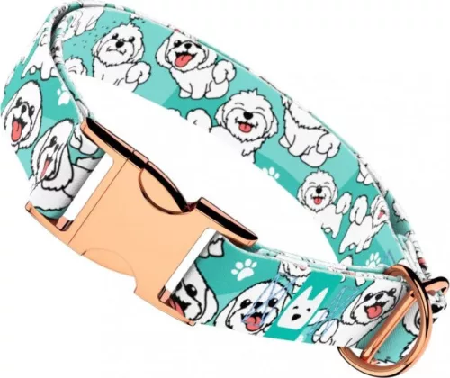 April&June Bolognese kék nyakörv 