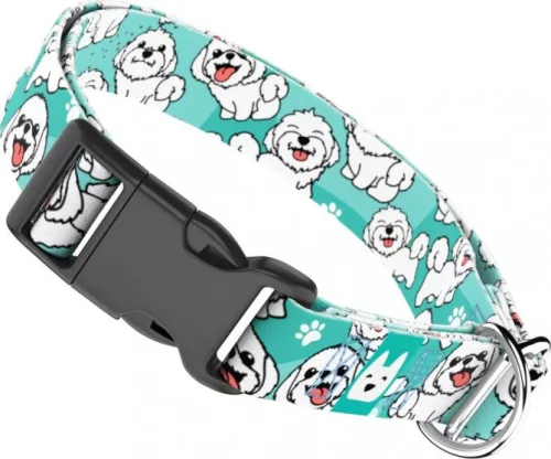 April&June Bolognese kék nyakörv 