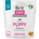 Brit Care Dog Grain-free Salmon Puppy 1 kg