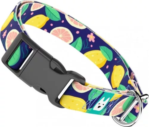 April&June Kék Citrom nyakörv