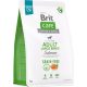 Brit Care Dog Grain-free Salmon Adult Large Breed 3 kg