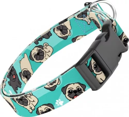 April&June Mopsz kék nyakörv