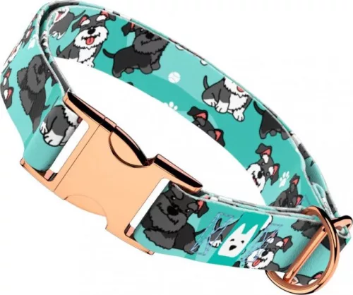 April&June Schnauzer kék nyakörv