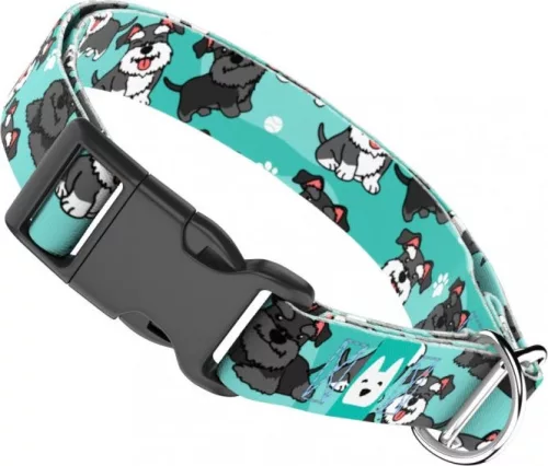 April&June Schnauzer kék nyakörv