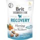 Brit Care Functional Snack RECOVERY 150 g