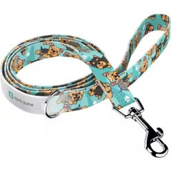 April&June Yorkie kék nyakörv