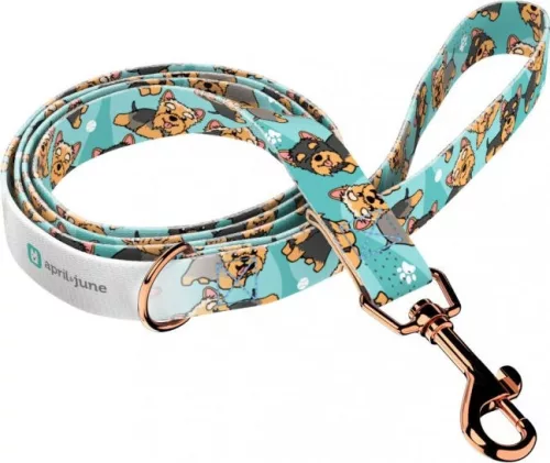 April&June Yorkie kék nyakörv