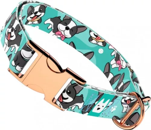 April&June Boston Terrier kék nyakörv