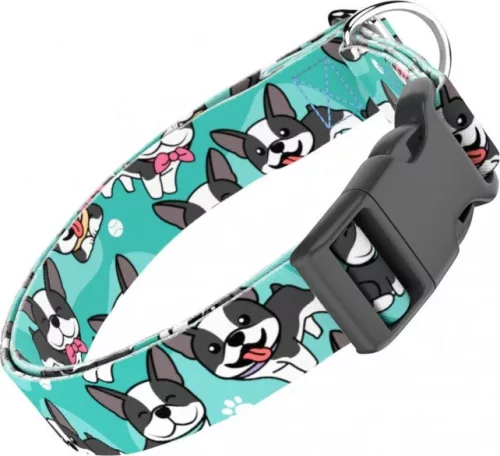 April&June Boston Terrier kék nyakörv