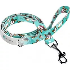 April&June Pembroke Welsh Corgi trikolor kék póráz