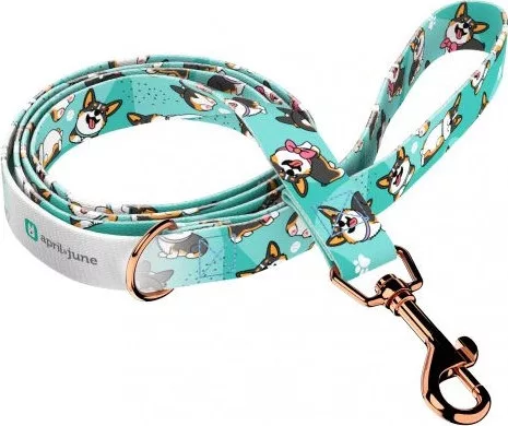 April&June Pembroke Welsh Corgi trikolor kék póráz