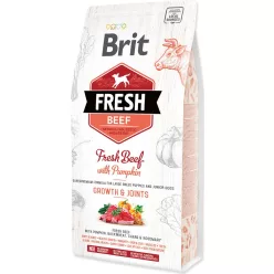 Brit Fresh Beef with Pumpkin Puppy Large 12 kg