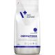 VetExpert Veterinary Diet Dermatosis kutyáknak lazac & burgonya 12 kg