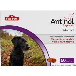 Antinol kutyáknak 60 db