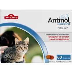 Antinol macskáknak 60 db