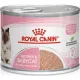 Royal Canin Babycat Mousse 195 g